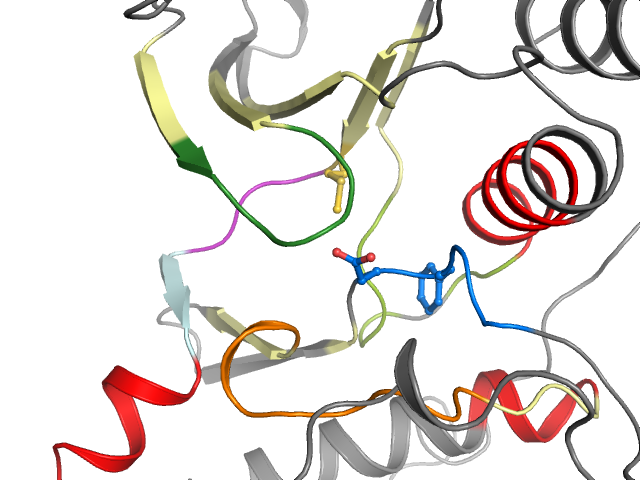 The orthosteric binding pocket