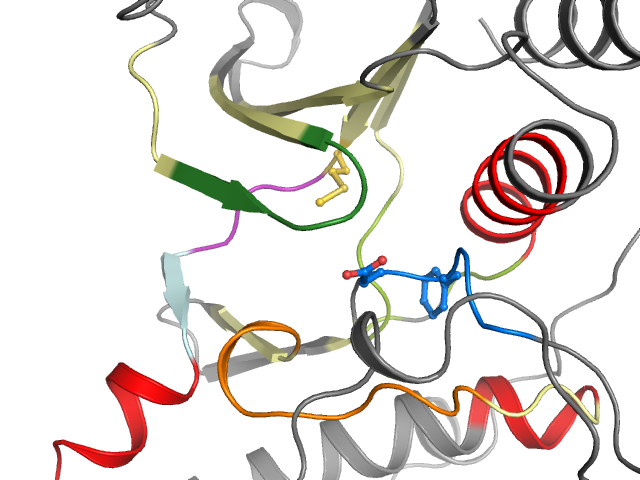 The orthosteric binding pocket