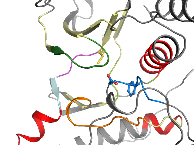 The orthosteric binding pocket