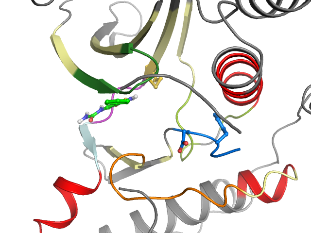 The orthosteric binding pocket