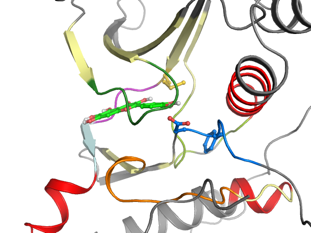 The orthosteric binding pocket