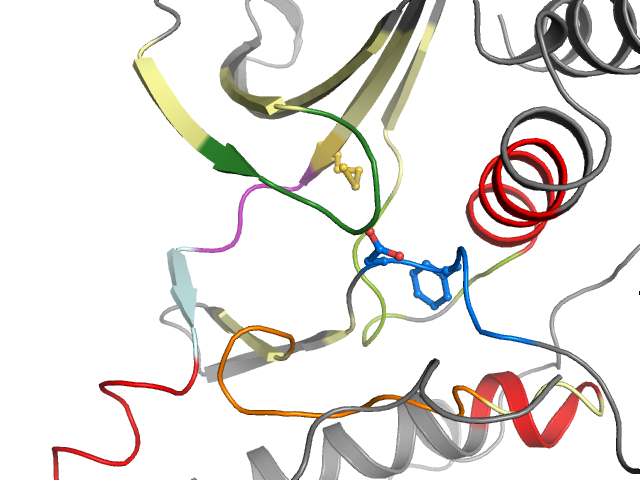 The orthosteric binding pocket