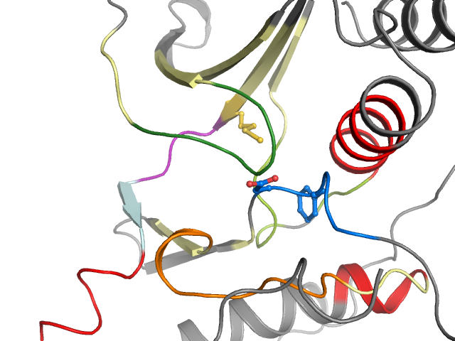 The orthosteric binding pocket