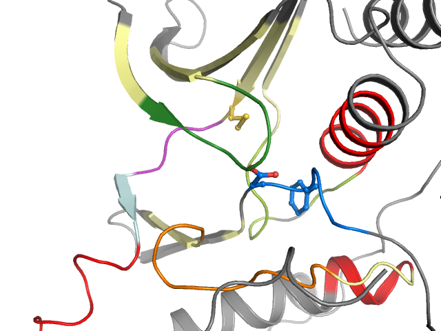 The orthosteric binding pocket
