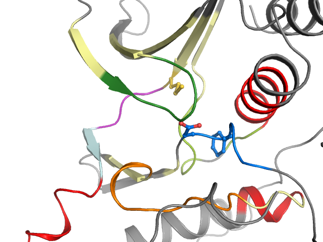 The orthosteric binding pocket