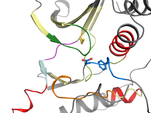 The orthosteric binding pocket