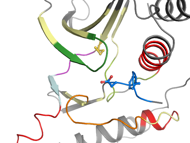 The orthosteric binding pocket