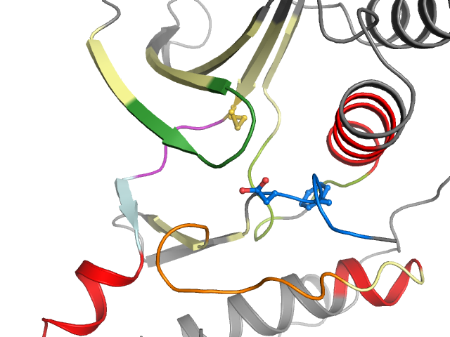 The orthosteric binding pocket