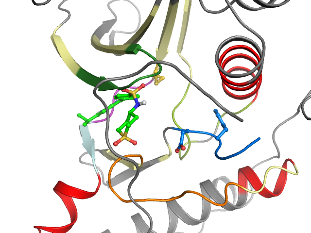 The orthosteric binding pocket