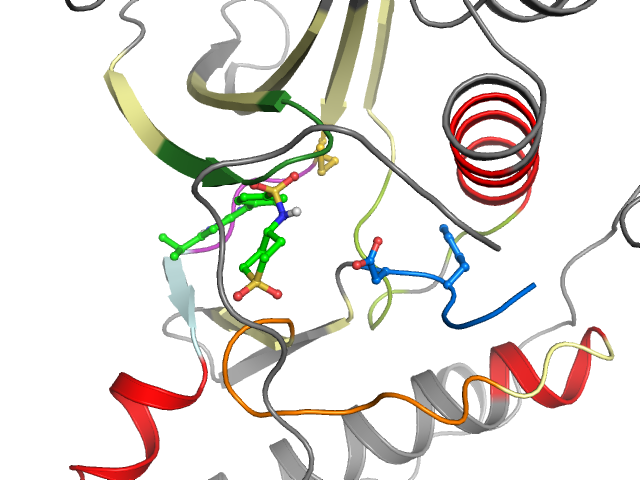 The orthosteric binding pocket