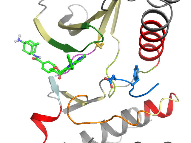 The orthosteric binding pocket