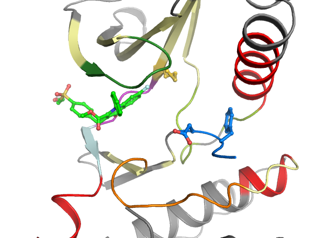 The orthosteric binding pocket