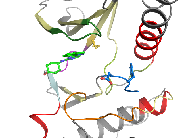 The orthosteric binding pocket