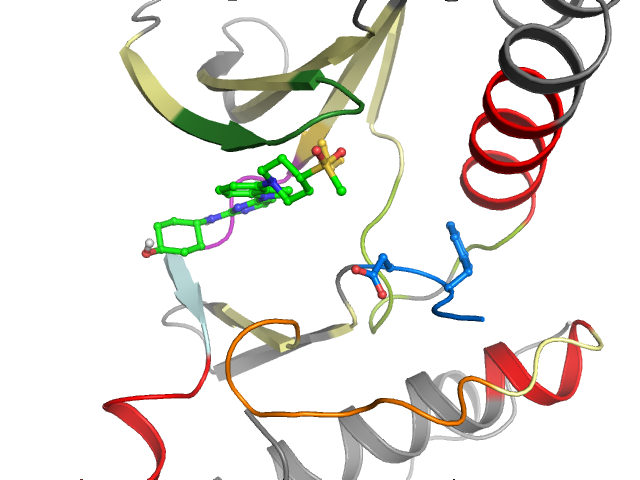 The orthosteric binding pocket
