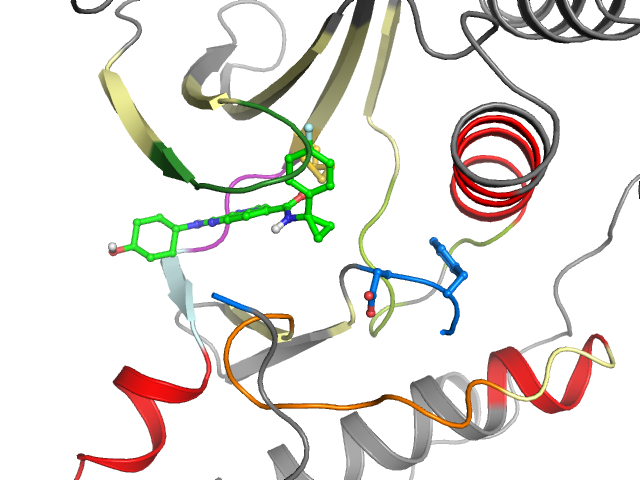 The orthosteric binding pocket