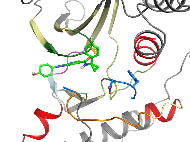 The orthosteric binding pocket