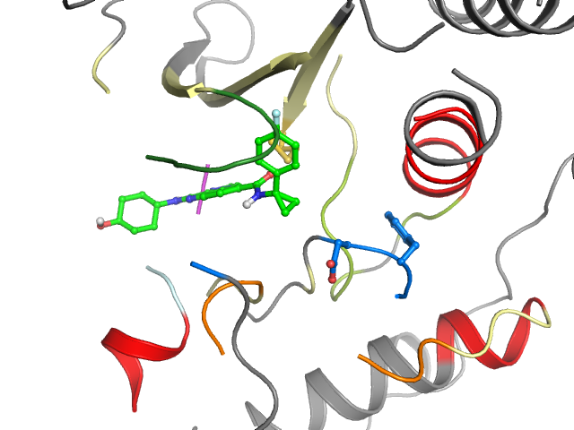 The orthosteric binding pocket