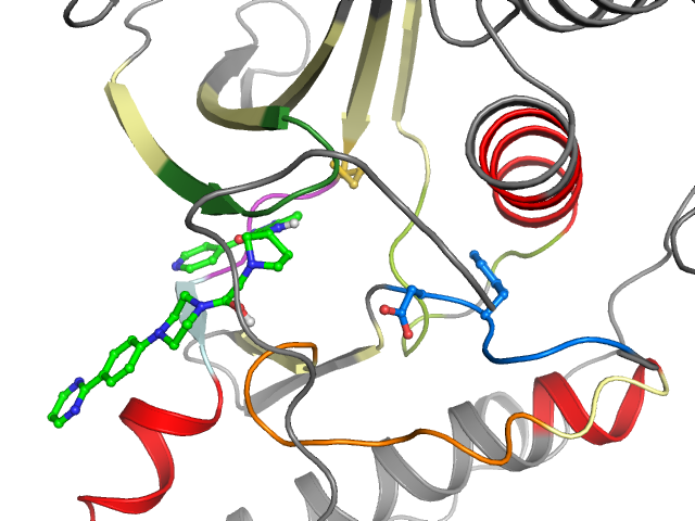 The orthosteric binding pocket