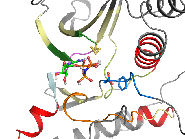 The orthosteric binding pocket