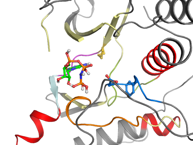 The orthosteric binding pocket