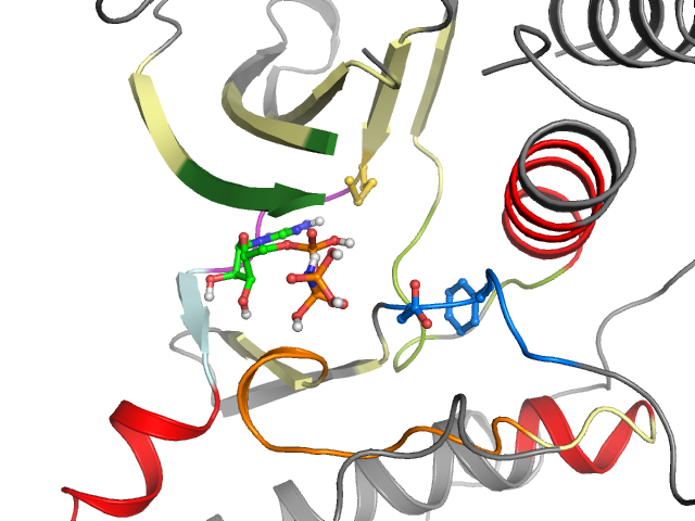 The orthosteric binding pocket
