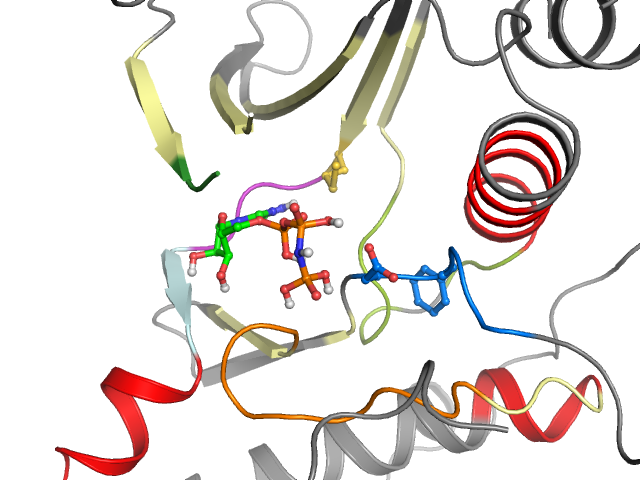 The orthosteric binding pocket