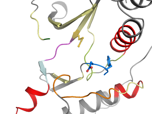 The orthosteric binding pocket