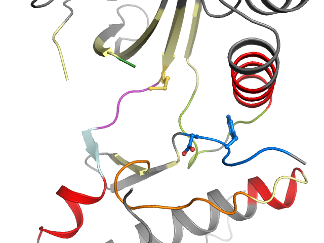 The orthosteric binding pocket
