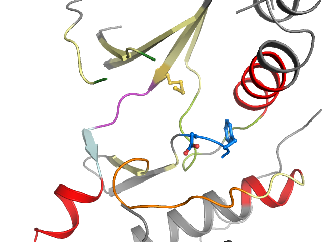 The orthosteric binding pocket