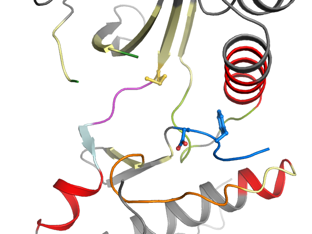 The orthosteric binding pocket