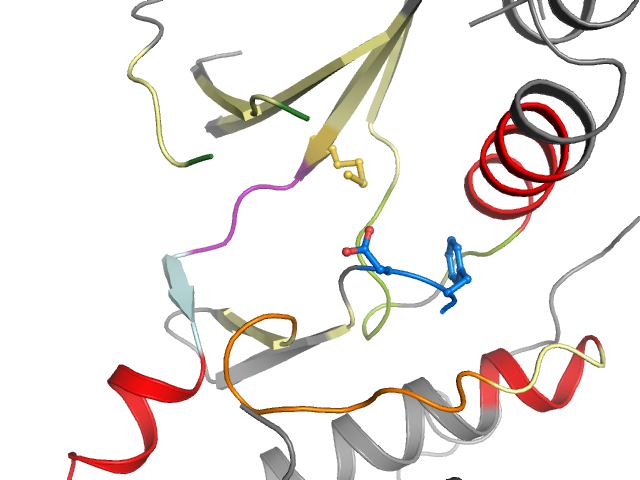 The orthosteric binding pocket