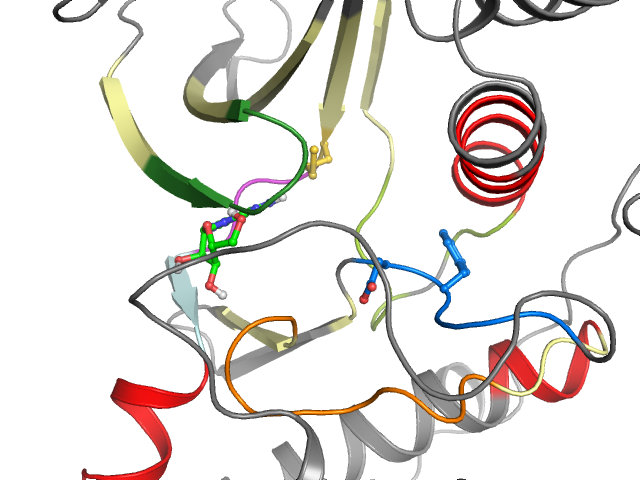 The orthosteric binding pocket