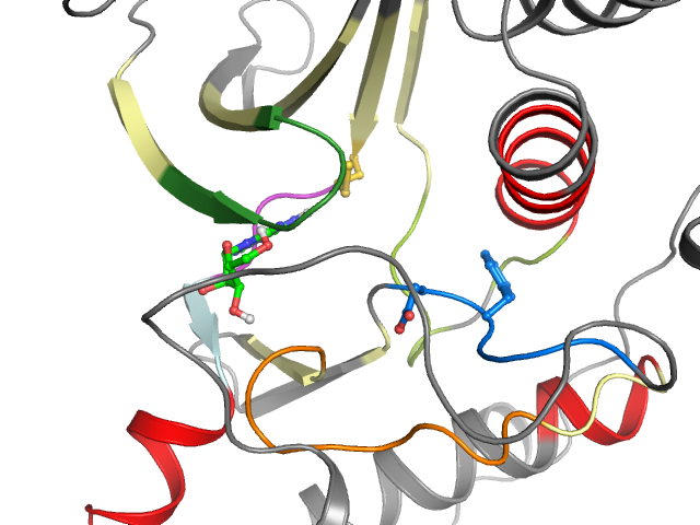 The orthosteric binding pocket