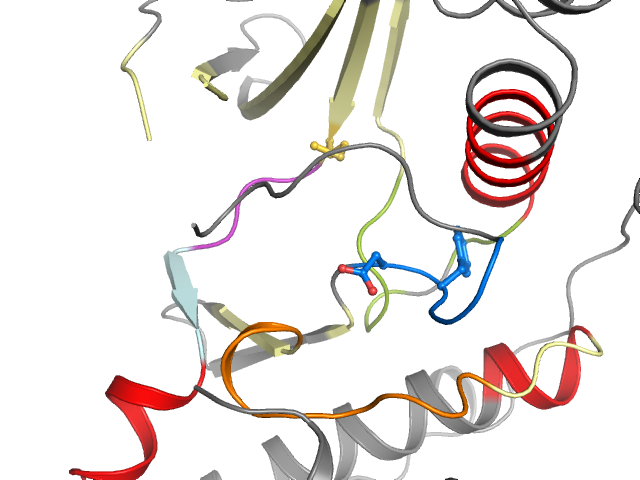 The orthosteric binding pocket