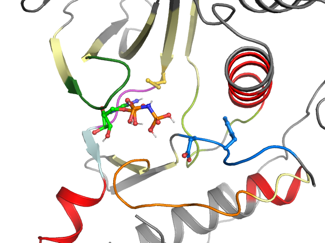 The orthosteric binding pocket