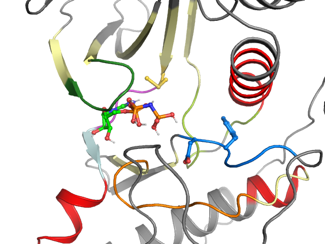 The orthosteric binding pocket