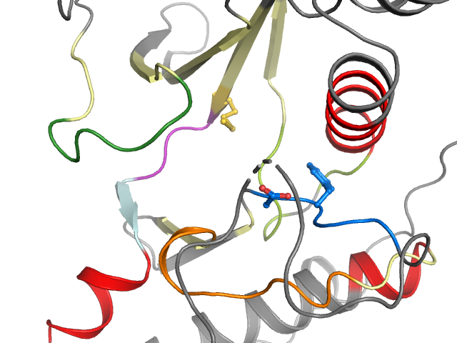 The orthosteric binding pocket