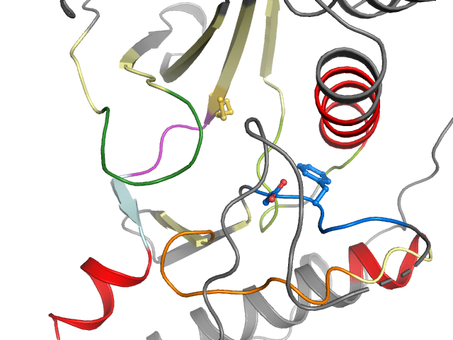 The orthosteric binding pocket