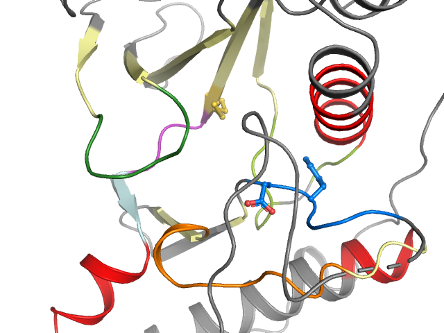The orthosteric binding pocket