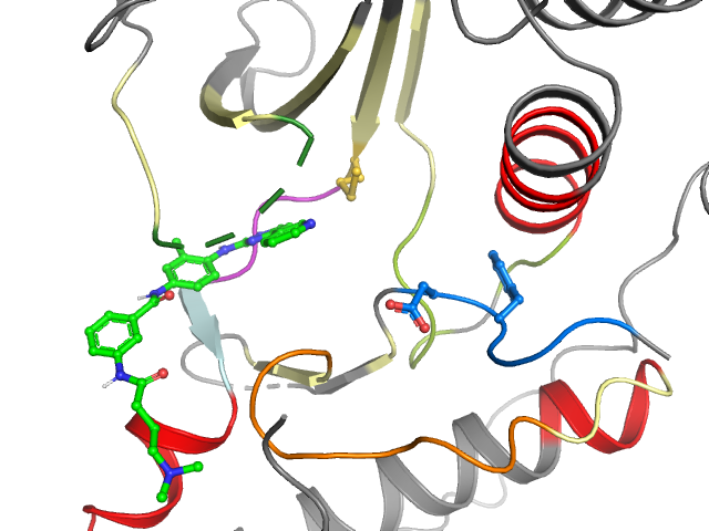 The orthosteric binding pocket