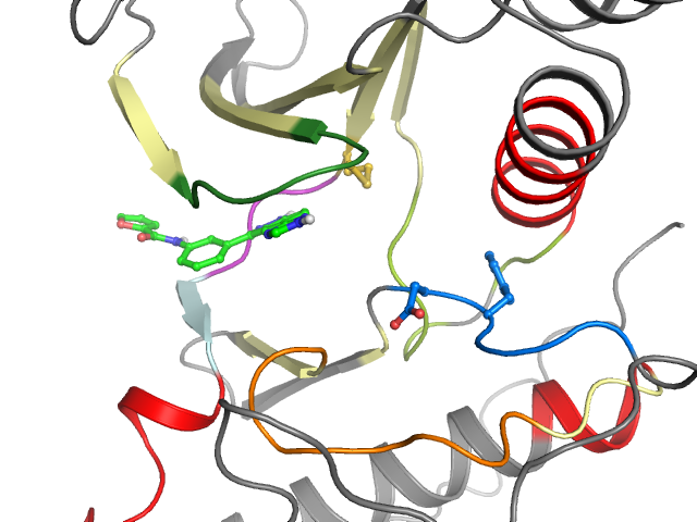 The orthosteric binding pocket