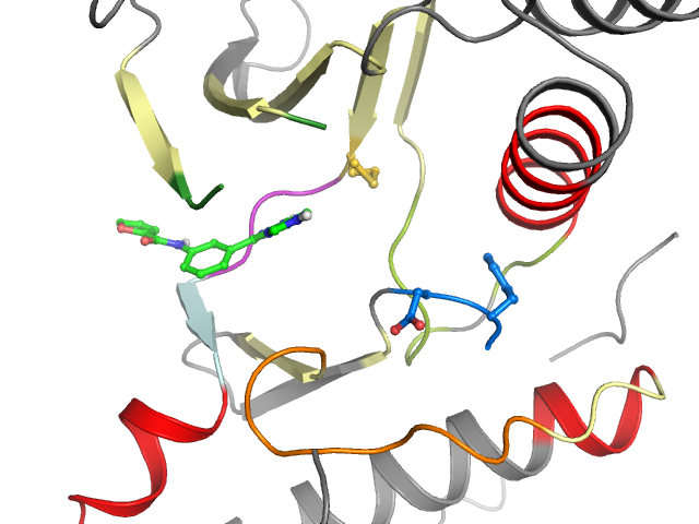 The orthosteric binding pocket