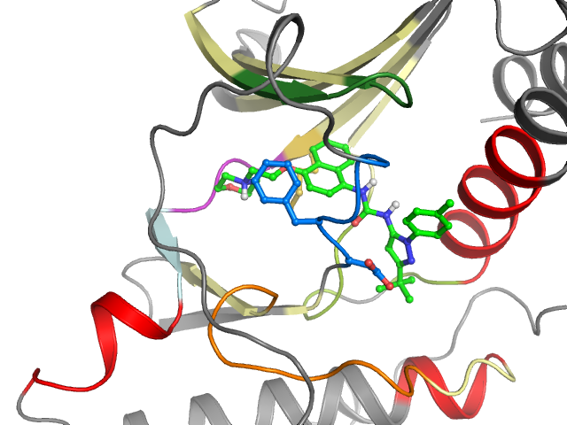 The orthosteric binding pocket