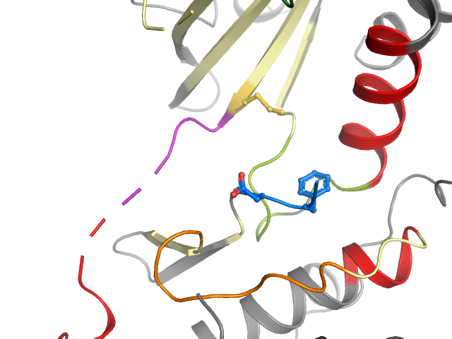 The orthosteric binding pocket