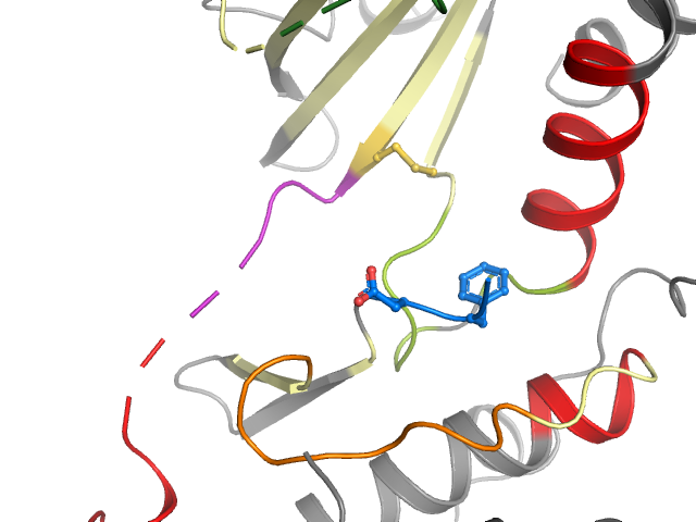 The orthosteric binding pocket