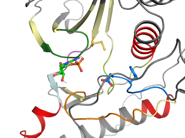 The orthosteric binding pocket
