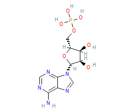2D structure of the orthosteric ligand