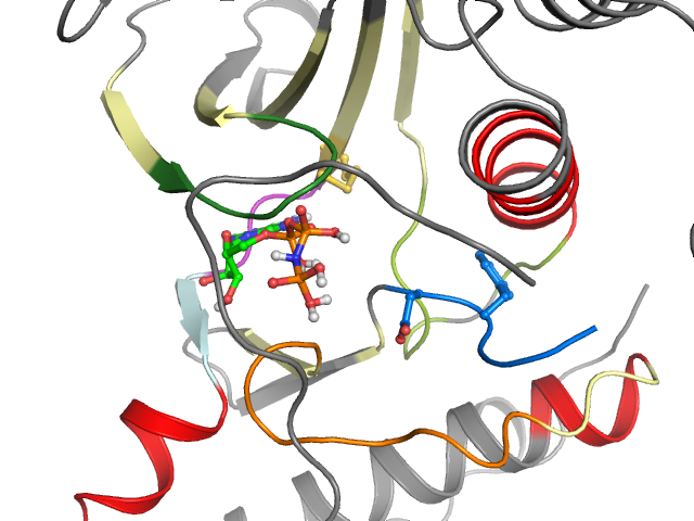 The orthosteric binding pocket