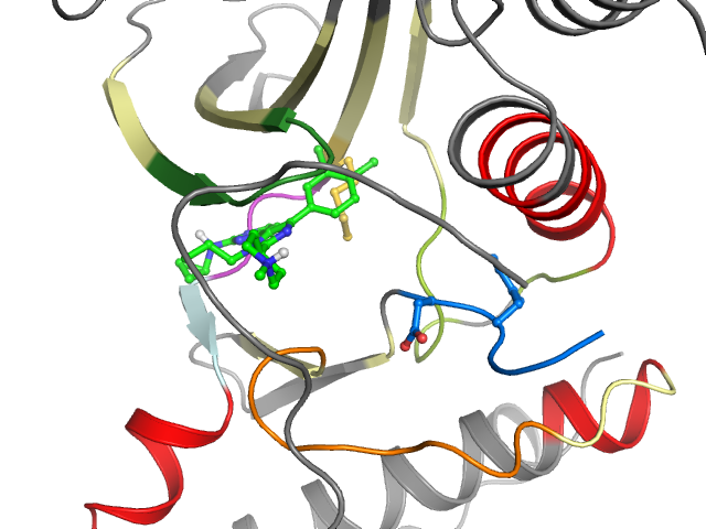 The orthosteric binding pocket