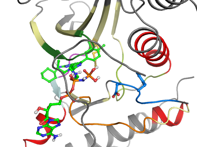 The orthosteric binding pocket